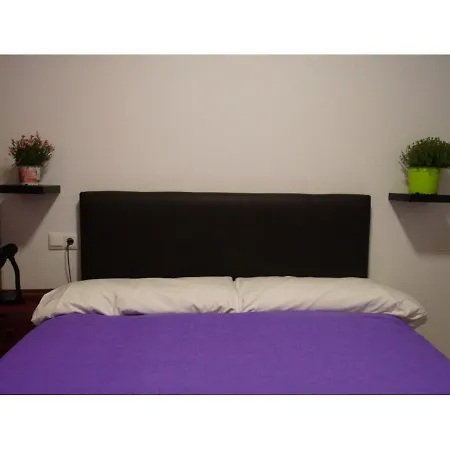 Lo Mirador Del Passador Apartment